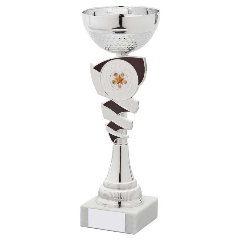 Silver and Black Cup