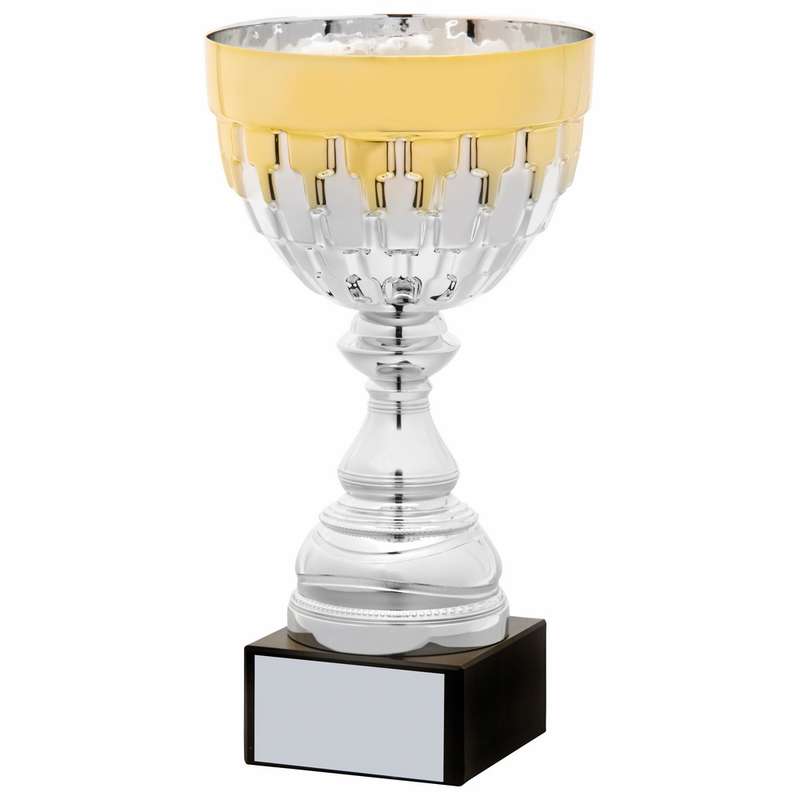Silver and Gold Cup