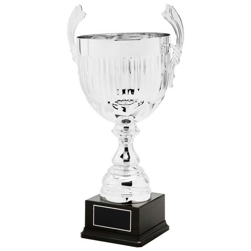 Silver Presentation Cup With Handles