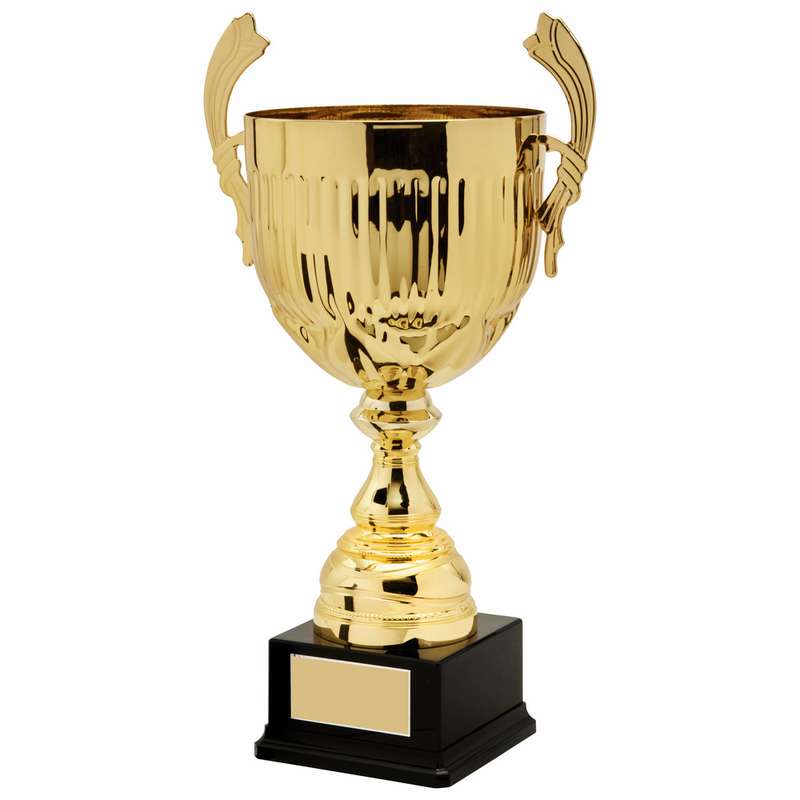 Gold Presentation Cup With Handles