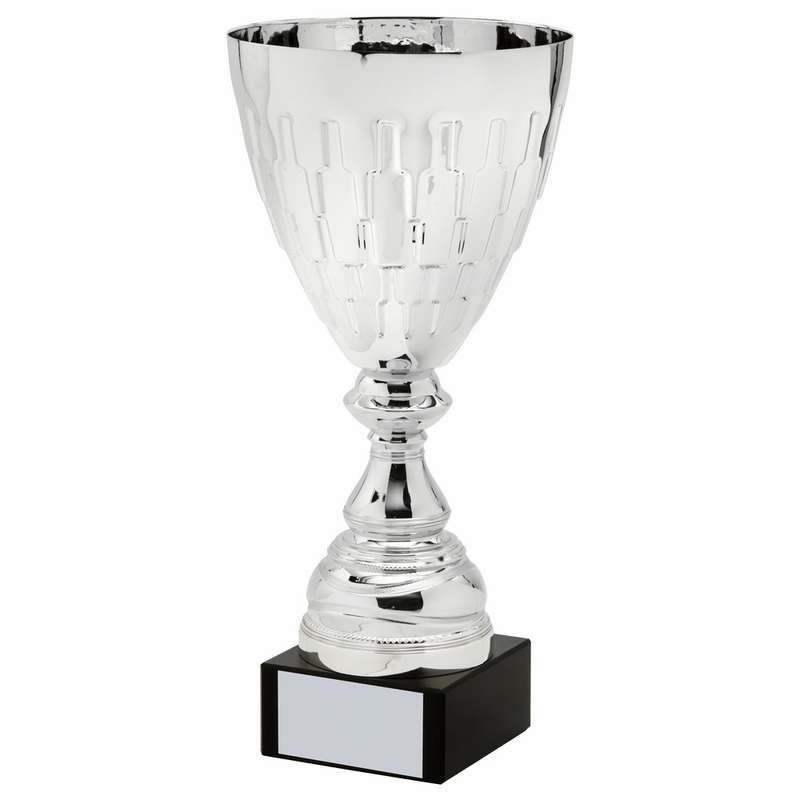 Silver Presentation Cup