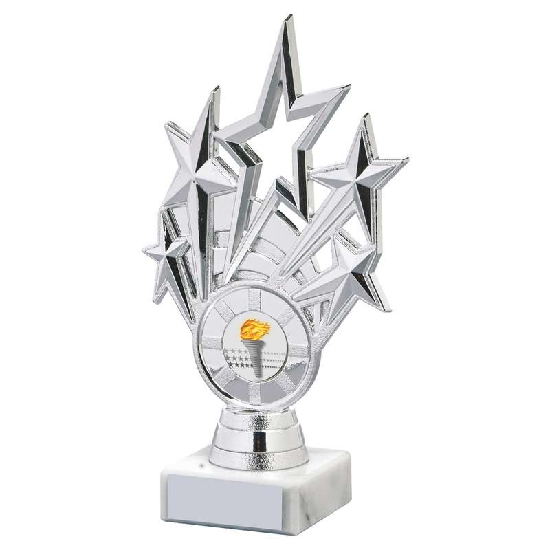 Silver Star Holder/Silver Tube Award