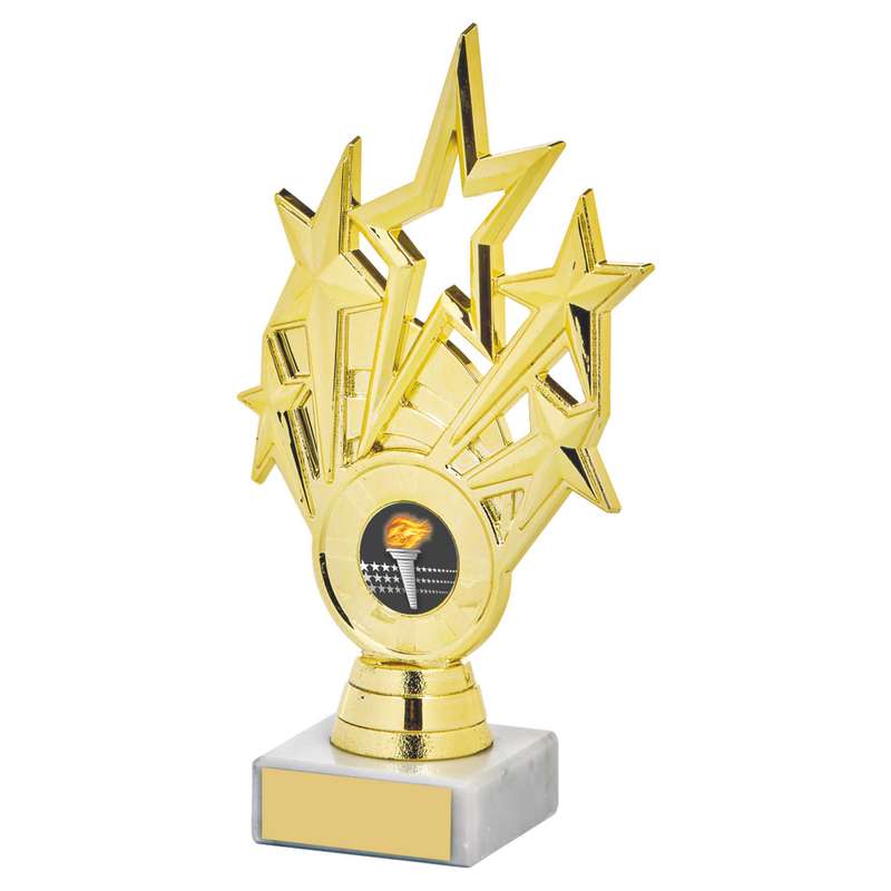 Gold Star Holder/Gold Tube Award