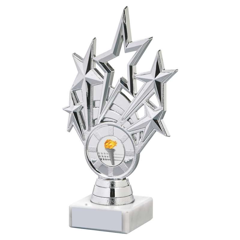 Silver Star Holder/Black Tube Award