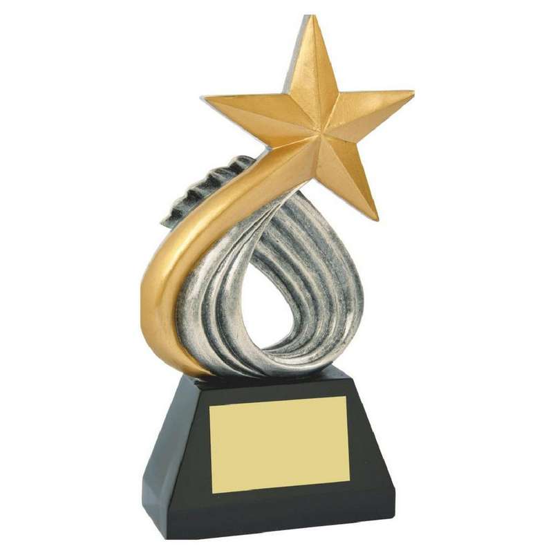 Gold Star Resin Award
