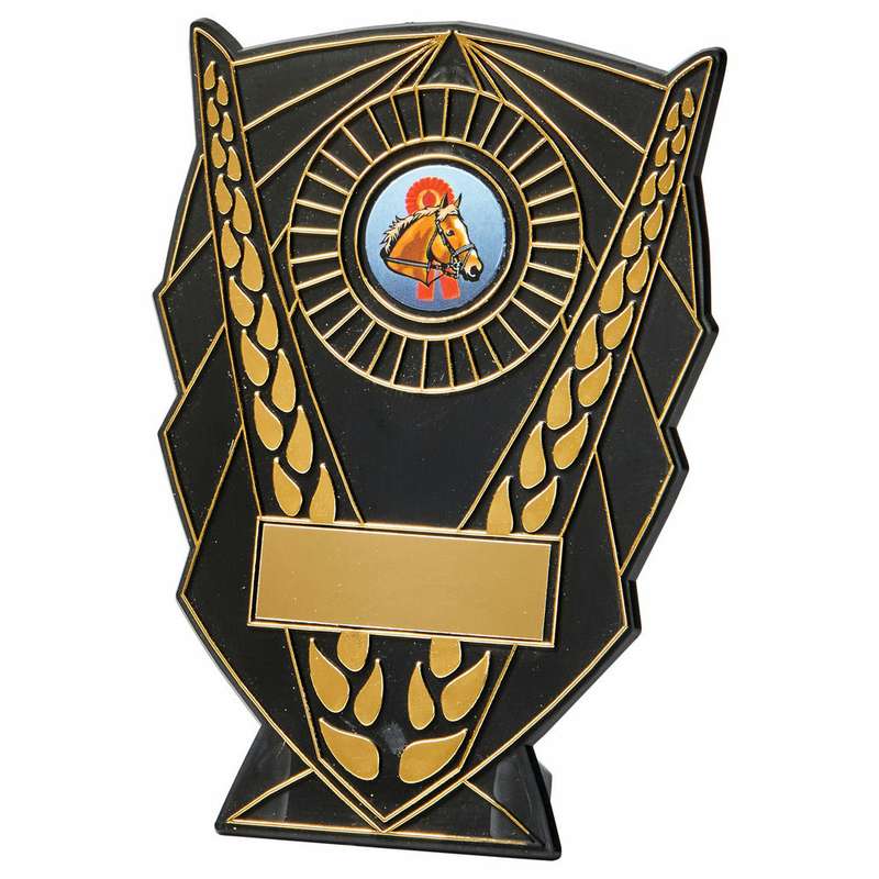 Black Plastic V Shield Award
