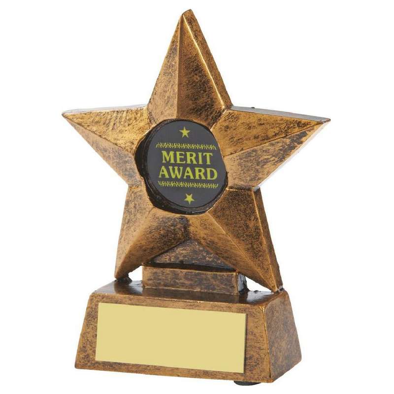 Bronze Resin Star Award