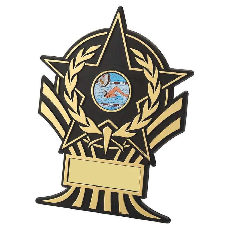 Black Plastic Star Award
