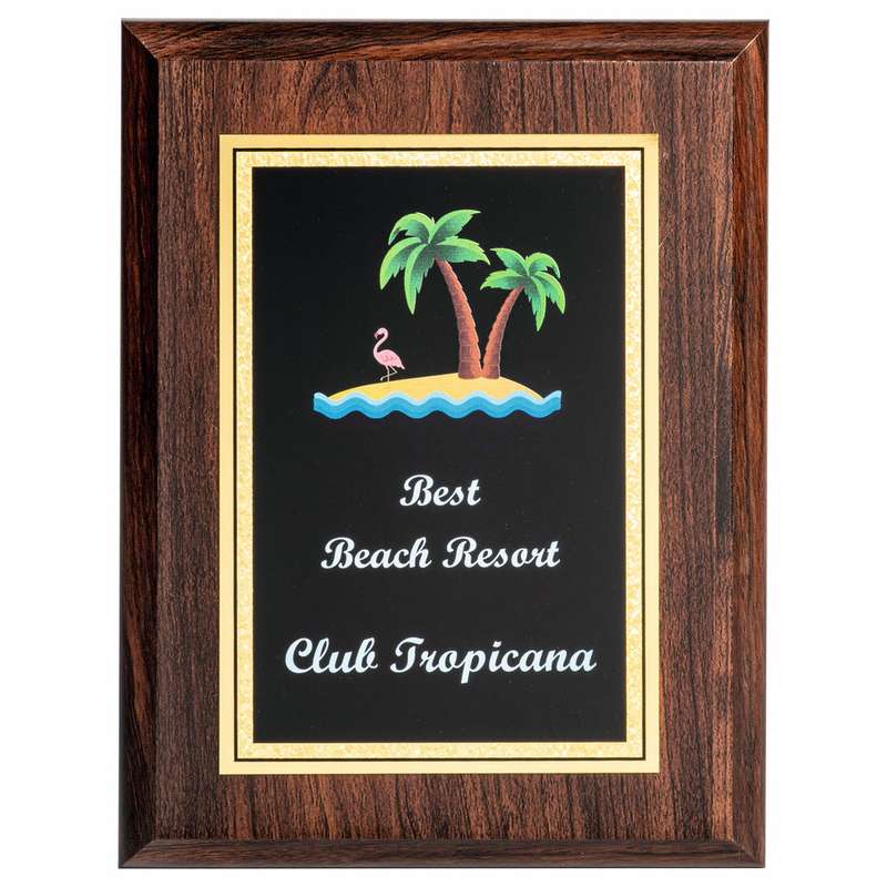 Presentation Corporate Plaque with Colour Print